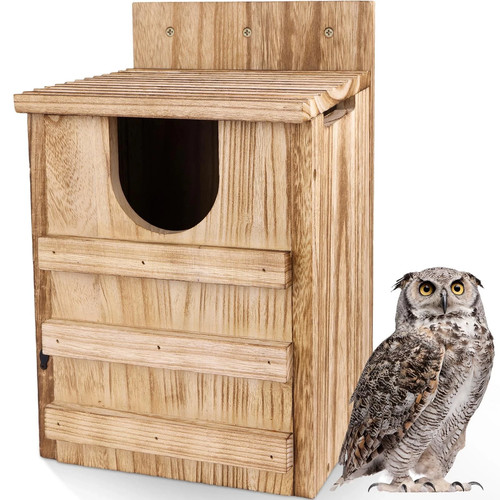 Tagepujie large wooden owl - wooden,