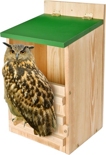 Owl house premium cedar - premium, wood
