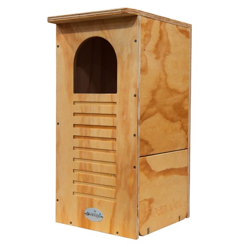 Jcs wildlife barred owl - jcs,