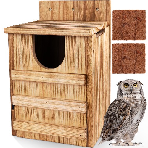 Large wooden owl - owl, box
