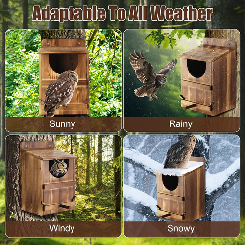 Owl house barn - house,,