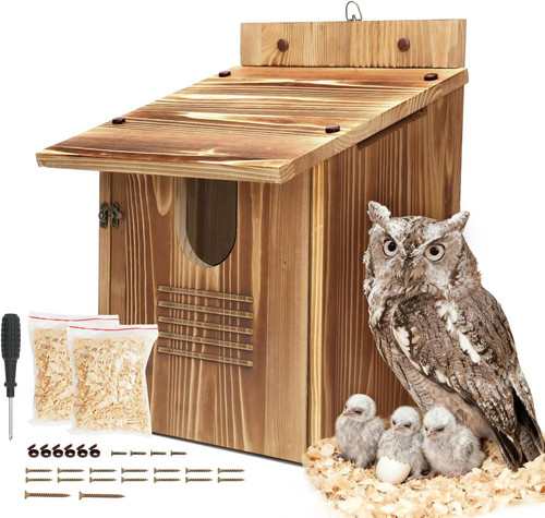 Owl houses for outdoors large - houses, outdoors,