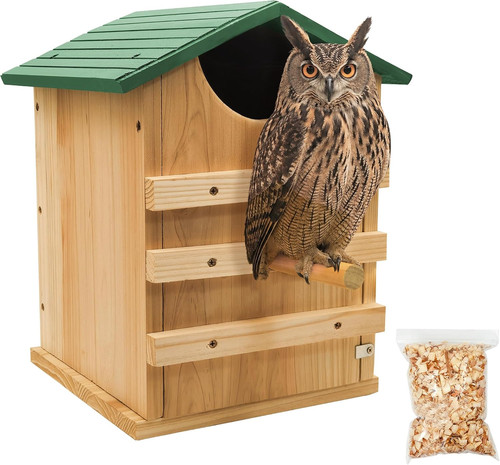 Screech owl house for - owl,