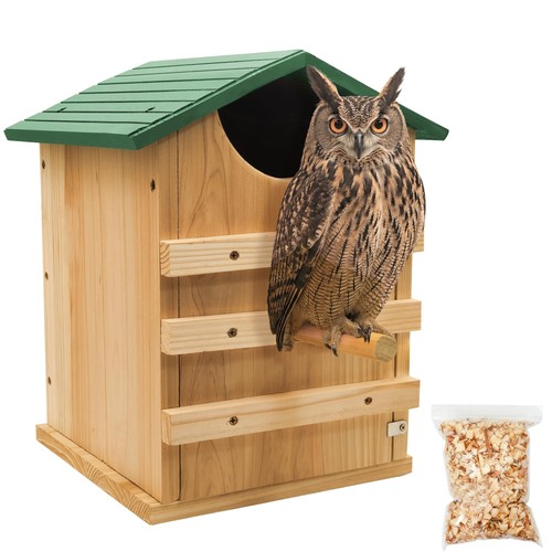Screech owl house for - screech,