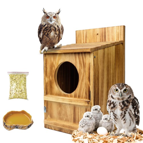 Scopaven owl bird house - owl,