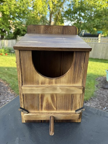 Large wooden owl nesting box - nesting,