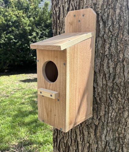 Large cedar owl nesting box - nesting,