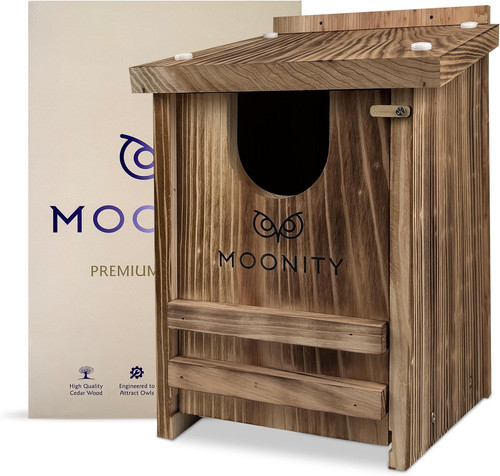 Fire treated cedar owl - cedar,