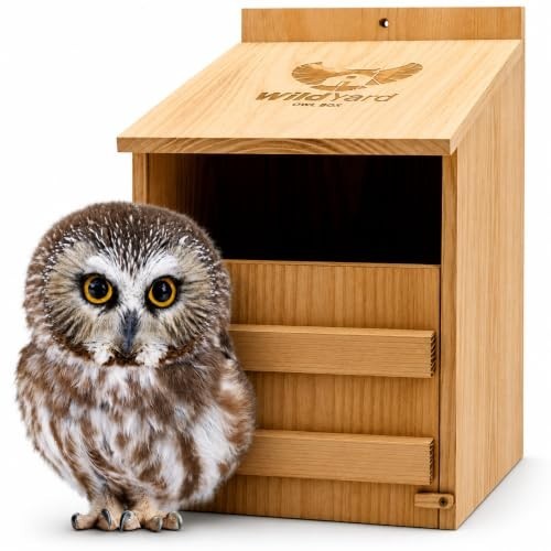 Owl house cedar nesting box - house,