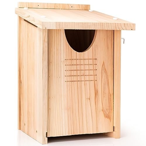 Cedar owl house - nesting, box