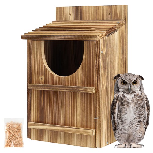 Durable cedar owl - owl, house