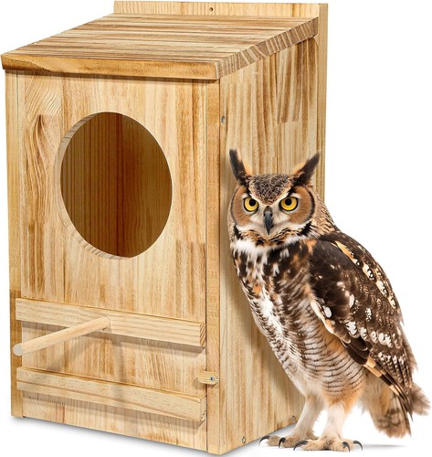 Large great horned - large, owl