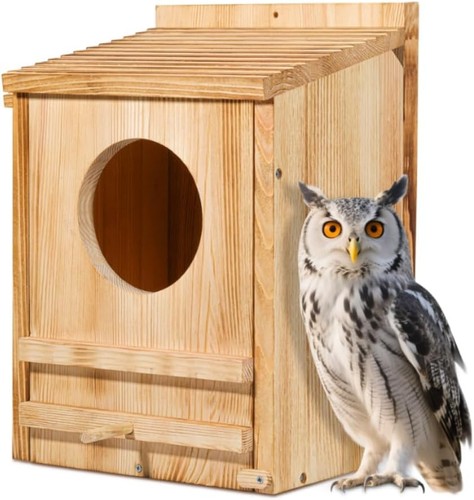 Barn owl house - house,owl, box