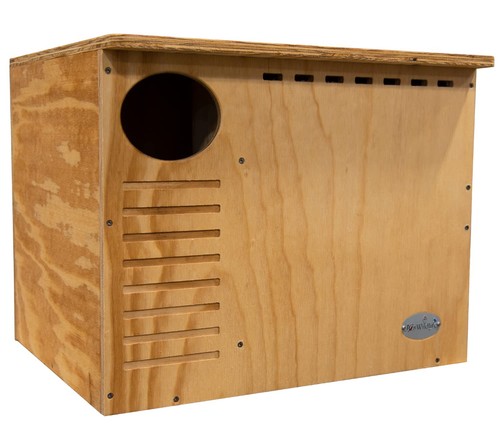 Jcs wildlife barn owl nesting - wildlife,