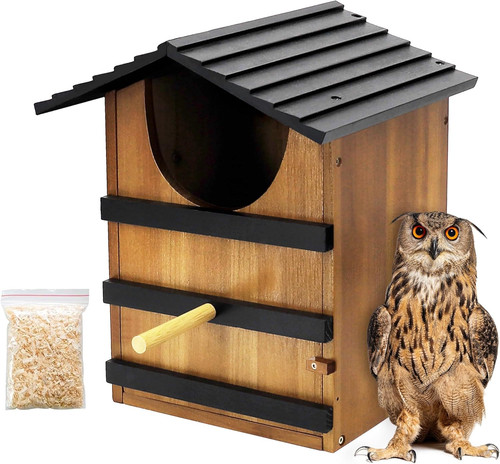 Screech owl house for - house,